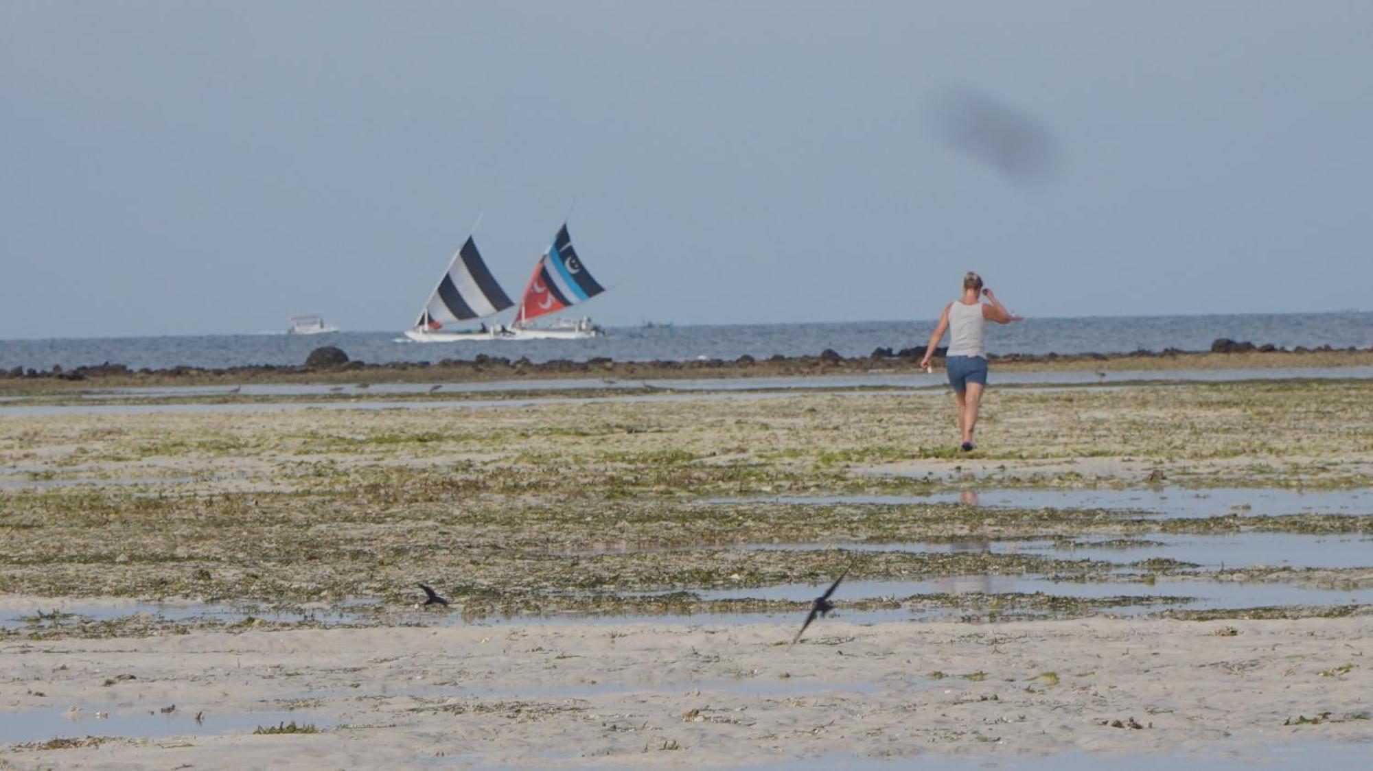 Mola2 Resort Gili Air Extérieur photo
